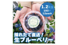 ＜令和7年5月 順次発送＞完熟ブルーベリー生果実・1.2kg　静岡県磐田市産【1444674】