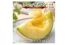 ＜通年出荷＞アローマメロン(小玉)　2玉入＜静岡高級マスクメロン＞_ メロン めろん アローマメロン 化粧箱 2玉 小玉 果物 くだもの フルーツ デザート 甘い 贈答 ギフト プレゼント 産直 産地直送 静岡県 送料無料 【1447109】