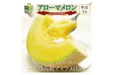 ＜通年出荷＞アローマメロン(中玉)1玉入＜静岡高級マスクメロン＞_ メロン めろん アローマメロン 化粧箱 1玉 果物 くだもの フルーツ デザート 甘い 贈答 ギフト プレゼント 産地直送 静岡県 送料無料 【1447114】