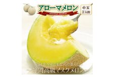 ＜通年出荷＞アローマメロン(中玉)2玉入＜静岡高級マスクメロン＞【1447115】