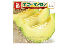 ＜訳あり高級メロン＞アローマメロン　1玉入＜通年出荷＞_ メロン アローマメロン 訳あり 静岡県 常温 果物 くだもの フルーツ 人気 おすすめ 送料無料 キズ 規格外 化粧箱 1玉 【1447128】
