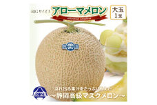 ＜通年出荷＞アローマメロン(大玉)　1玉入＜静岡高級マスクメロン＞_ メロン マスクメロン 果物 くだもの フルーツ 大玉 おすすめ 人気 送料無料 ギフト 贈答 【1447132】