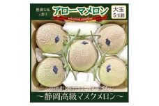 ＜通年出荷＞アローマメロン(大玉)5玉入＜静岡高級マスクメロン＞【1447137】