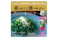 ＜毎月定期便＞TV紹介で大好評 ソフトケール 100g×5袋 健康 腸活応援 スムージー 全12回【4003773】
