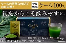 ＜毎月定期便＞血圧対策+手軽に野菜摂取!＜無添加 ケールまるごと100%青汁＞スーパーフード全3回_ 青汁 あおじる 定期便 ケール 100% 無添加 有機栽培 全3回 手軽 スーパーフード 野菜 飲料 ドリンク カルシウム 鉄 食物繊維 送料無料 【4003779】