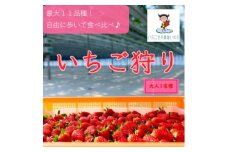 最大10品種以上食べ比べ!　いちご空中農園いわた　いちご狩り入園券　45分間食べ放題_ いちご狩り イチゴ狩り 苺狩り いちご イチゴ 苺 チケット 入園券 券 ストロベリー 果物 くだもの フルーツ 新鮮 デザート 大人 1枚 食べ比べ 体験 体験チケット レジャー 農園 静岡 送料無料 【1450154】