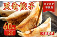 静岡発!キャベツの旨さを追及した＜天竜餃子＞60個入り/約1.2kg_ 餃子 ぎょうざ 点心 中華 天竜餃子 おかず おつまみ 人気 おすすめ 送料無料 贈答 ギフト にんにく不使用 冷凍 【1450660】