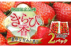 先行受付/2025年12月上旬発送開始!抜群の美味しさ!静岡限定:きらぴ香いちご 280g×2パック【1451174】