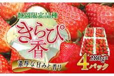 先行受付/2025年12月上旬発送開始!抜群の美味しさ!静岡限定:きらぴ香いちご 280g×4パック【1453521】