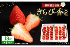 先行受付/2025年12月上旬発送開始!抜群の美味しさ!静岡限定:きらぴ香いちご大粒18粒×2パック【1453525】