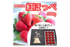 ＜化粧箱入り＞静岡県産『紅ほっぺ』400g(12粒または15粒)【1455709】
