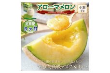 ＜毎月定期便＞アローマメロン(小玉)1玉・6ヵ月毎月お届け＜静岡高級マスクメロン＞全6回_ メロン アローマメロン 果物 フルーツ 定期便 静岡県 常温 人気 おすすめ 送料無料 贈答 ギフト 【4006991】