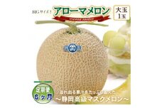 ＜毎月定期便＞アローマメロン(大玉)1玉・6ヵ月毎月お届け＜静岡高級マスクメロン＞全6回_ メロン アローマメロン 果物 フルーツ 定期便 静岡県 常温 人気 おすすめ 送料無料 贈答 ギフト 【4006992】