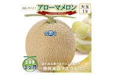 ＜毎月定期便＞アローマメロン(大玉)1玉・3ヵ月毎月お届け＜静岡高級マスクメロン＞全3回_ メロン アローマメロン 果物 くだもの フルーツ 定期便 静岡県 常温 人気 おすすめ 送料無料 贈答 ギフト 【4006993】
