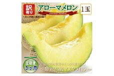＜毎月定期便＞＜高級メロンの訳あり品＞アローマメロン1玉・3ヵ月毎月お届け全3回_ メロン めろん アローマメロン 定期便 全3回 果物 くだもの フルーツ デザート 甘い 産直 産地直送 静岡県 送料無料 【4006995】