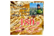 ＜毎月定期便＞静岡発!キャベツの旨さを追及した＜天竜餃子＞80個入り/約1.6kg/全6回【4007860】