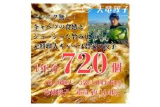 ＜毎月定期便＞静岡発!キャベツの旨さを追及した＜天竜餃子＞60個入り/約1.2kg/全12回【4007861】