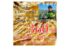 ＜毎月定期便＞静岡発!キャベツの旨さを追及した＜天竜餃子＞60個入り/約1.2kg/全6回_ 餃子 ぎょうざ ギョウザ 定期便 キャベツ 天竜餃子 冷凍餃子 中華 惣菜 おかず おつまみ お弁当 冷凍 簡単調理 時短 静岡県 送料無料 【4007862】