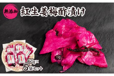 紅生姜 漬け 無添加 国産大生姜 60g×5袋セット_ 漬物 紅生姜 紅しょうが 紅ショウガ 漬け物 お漬物 つけもの 梅酢漬け 無添加 ショウガ 生姜 しょうが 国産 野菜 惣菜 つまみ 酒の肴 ごはんのお供 静岡県 送料無料 【1482879】