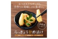 らっきょう甘酢漬け 静岡県浜松産 110g×5袋セット【1482872】