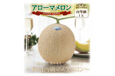 ＜通年出荷＞アローマメロン(山等級) 1玉入＜静岡高級マスクメロン＞_ メロン めろん アローマメロン 1玉 果物 くだもの フルーツ デザート 甘い ギフト プレゼント 産直 産地直送 静岡県 送料無料 【1490685】
