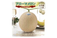 ＜通年出荷＞アローマメロン(山等級) 2玉詰＜静岡高級マスクメロン＞【1490686】