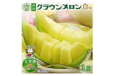 ＜毎月定期便＞クラウンメロン(白等級1.0)1玉 全3回_ 定期便 メロン マスクメロン 静岡県 磐田市 フルーツ 果物 厳選 高級 人気 デザート ギフト プレゼント 贈り物 送料無料 【4051451】
