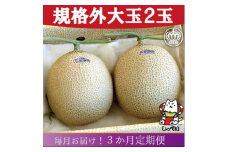 ＜毎月定期便＞＜規格外BIGサイズ!＞クラウンメロン規格外大玉1.7　2玉詰 全3回_ メロン クラウンメロン めろん 大玉 定期便 化粧箱 果物 くだもの フルーツ ギフト プレゼント 産地直送 静岡県 送料無料 【4051463】