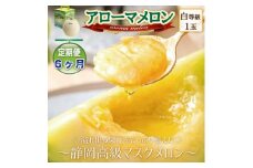 ＜毎月定期便＞アローマメロン1玉(約1.0kg以上/玉)＜静岡高級マスクメロン＞ 全6回_ メロン めろん アローマメロン 定期便 化粧箱 全6回 果物 くだもの フルーツ デザート 産直 産地直送 静岡県 送料無料 【4051489】