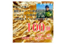 静岡発!キャベツの旨さを追及した＜天竜餃子＞手土産にも配りやすいパック入り/20個×5パック【1511697】