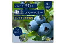 ＜極上＞完熟 生ブルーベリー500g【1515681】