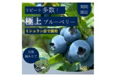 ＜極上＞完熟 生ブルーベリー1kg【1519661】