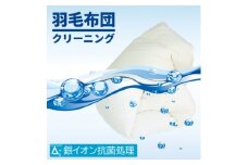 丸八真綿 羽毛布団　ザブザブ丸洗いクリーニング　1枚_ クリーニング 宅配クリーニング チケット サービス 羽毛布団 1枚 羽毛 布団 ふとん 丸洗い 布団丸洗い 丸八真綿 宅配 銀イオン 抗菌処理 シミ抜き 寝具 洗濯 静岡県磐田市 送料無料 【1521291】