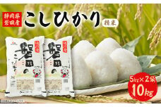 静岡県磐田産コシヒカリ(精米)5kg×2袋【1527185】