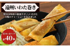 遠州いわた巻き【1526019】