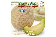 ＜通年出荷＞アローマメロン(大玉)　2玉詰＜静岡高級マスクメロン＞_ メロン めろん アローマメロン 大玉 化粧箱 2玉 果物 くだもの フルーツ デザート 甘い ギフト プレゼント 産地直送 静岡県 送料無料 【1541722】