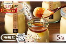 ＜名誉総裁賞受賞＞とろける玉華堂の極ぷりん5個入_ プリン スイーツ 洋菓子 菓子 おやつ おかし 玉華堂 極ぷりん 冷蔵 おすすめ 人気 送料無料 贈答 ギフト プレゼント 【1560979】