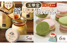 ＜名誉総裁賞受賞＞とろける玉華堂の極ぷりん5個ととろける生チョコクッキー6枚セット_ プリン ぷりん チョコ クッキー 焼き菓子 菓子 お菓子 洋菓子 スイーツ デザート ギフト 【1560981】