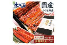 ＜2ヵ月毎定期便＞浜名湖・うなぎのたなかの国産うなぎギフト長蒲焼2本※1回分360g程度全3回_ 鰻 うなぎ 国産 定期便 蒲焼 浜名湖 老舗 人気 おすすめ 送料無料 贈答 ギフト 冷凍 うなぎのたなか 【4059969】