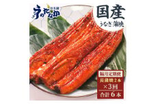 ＜2ヵ月毎定期便＞浜名湖・うなぎのたなかの国産うなぎ長蒲焼2本※1回分180g程度全3回_ 鰻 うなぎ 定期便 国産 蒲焼 浜名湖 老舗 人気 おすすめ 送料無料 贈答 ギフト 冷凍 うなぎのたなか 【4059977】