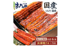 ＜2ヵ月毎定期便＞浜名湖・うなぎのたなかの国産うなぎ長蒲焼2本※1回分360g程度全3回_ うなぎ 鰻 蒲焼 定期便 国産 冷凍 浜名湖 老舗 静岡県 人気 おすすめ 送料無料 贈答 ギフト プレゼント 関東風 簡単調理 【4059978】