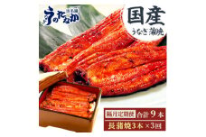 ＜2ヵ月毎定期便＞浜名湖・うなぎのたなかの国産うなぎ長蒲焼3本※1回分540g程度全3回_ 鰻 うなぎ 定期便 国産 蒲焼 浜名湖 老舗 人気 おすすめ 送料無料 贈答 ギフト 冷凍 うなぎのたなか 【4059979】