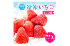 冷凍イチゴ『きらぴ香』250g×3袋【1573852】