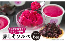 赤しそソルベ　70ml×6個入り【1575911】