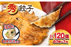 秀餃子 120個(40×3箱)2.4kg 国産野菜と肉の新鮮さにこだわった本気のぎょうざ 国産 冷凍【1622598】