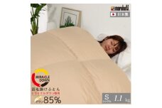 丸八真綿 羽毛掛け布団 シングル 150×210cm 日本製 ダウン85%(リサイクルダウン使用)【1626048】