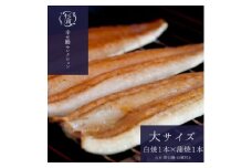 ＜1本210g以上＞遠州杉浦うなぎ 白蒲セット 白焼1本+蒲焼1本(440g-490g)肝白焼+タレ【1605194】