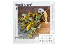 磐田産ミモザのドライスワッグ【1614754】