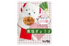 しっぺいの葱塩餃子 100個(50個×2袋)きわだつ旨み!磐田市特産品の長葱使用 国産ぎょうざ 冷凍【1630487】