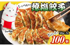 しっぺいの葱塩餃子 100個(50個×2袋)きわだつ旨み!磐田市特産品の長葱使用 国産ぎょうざ 冷凍【1630487】